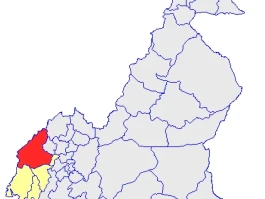 This Whole "Manyu" Thing: What the Hell It Actually Is and Why Your Search Results Are a Mess